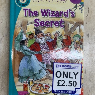 Early Readers Turquoise - The Wizard's Secret