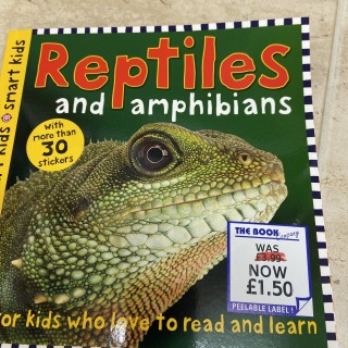 Reptiles learning sticker book