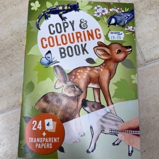Copy and Colour book.