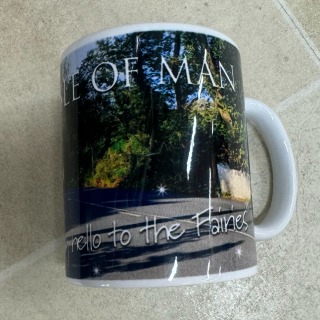 Fairy Bridge Picture Mug