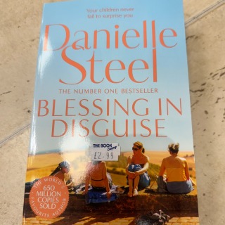 Danielle Steel - Blessing in Disguise