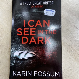 Karin Fossum - I can see in the dark