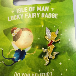 Fairy pin badge