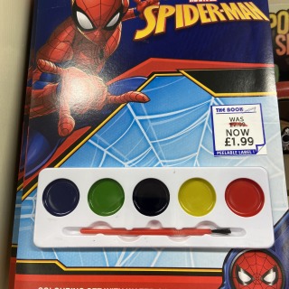 Spiderman painting set